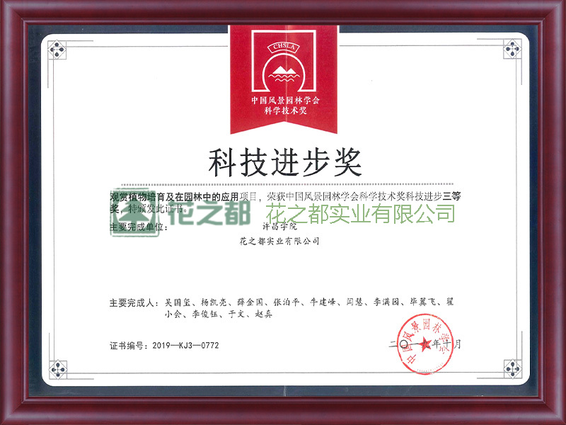科技進步獎